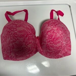 Cacique Vibrant Pink Lace Bra